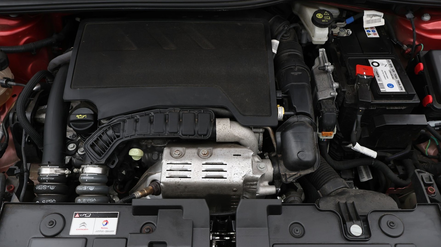 Used Citroen C4 2023 for sale - 77367122: Photo 19