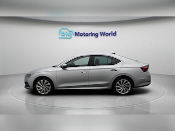 Used Skoda Octavia 2020 for sale - 79017555: Photo