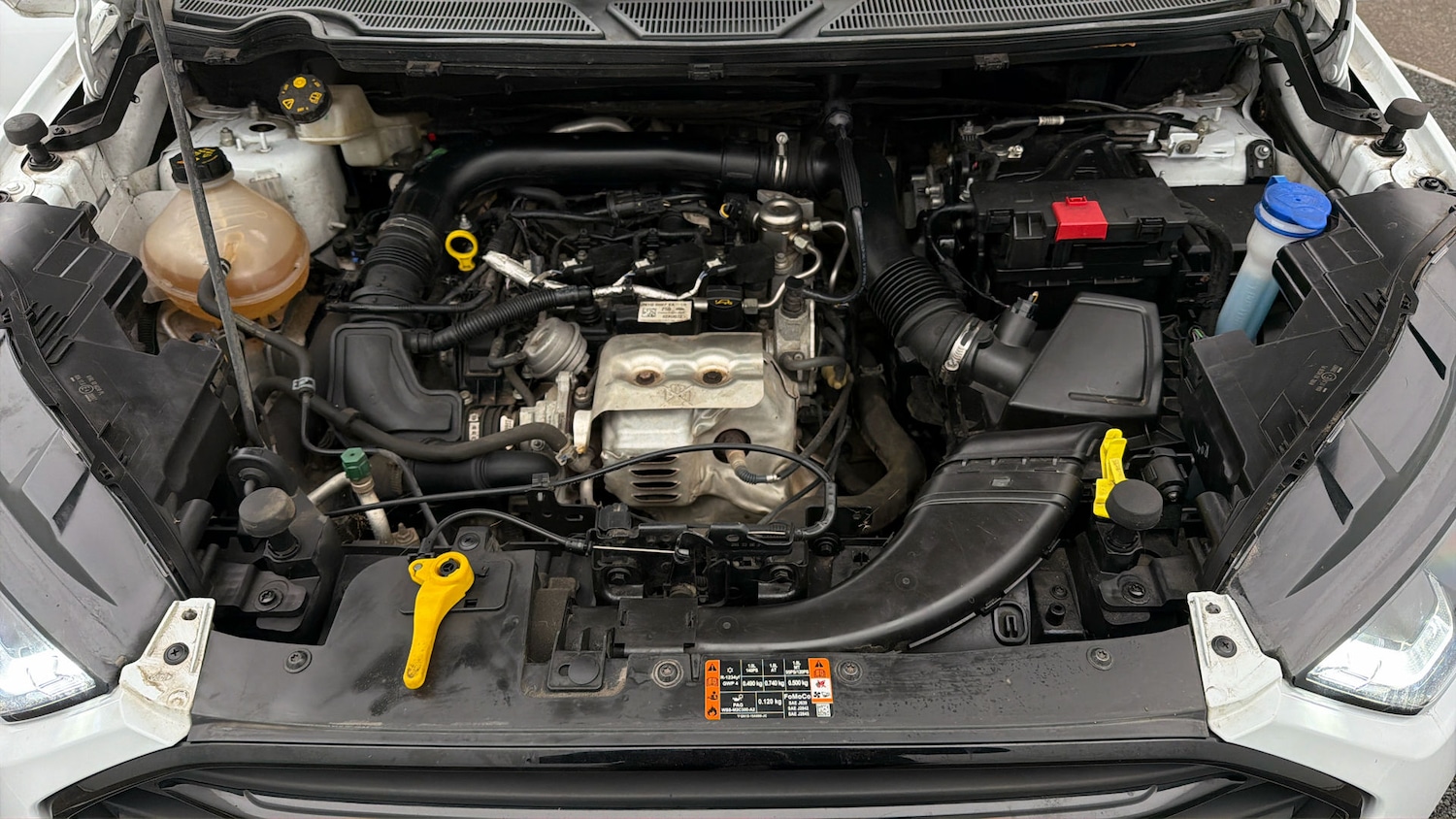 Used Ford Ecosport 2023 for sale - 78209861: Photo 18