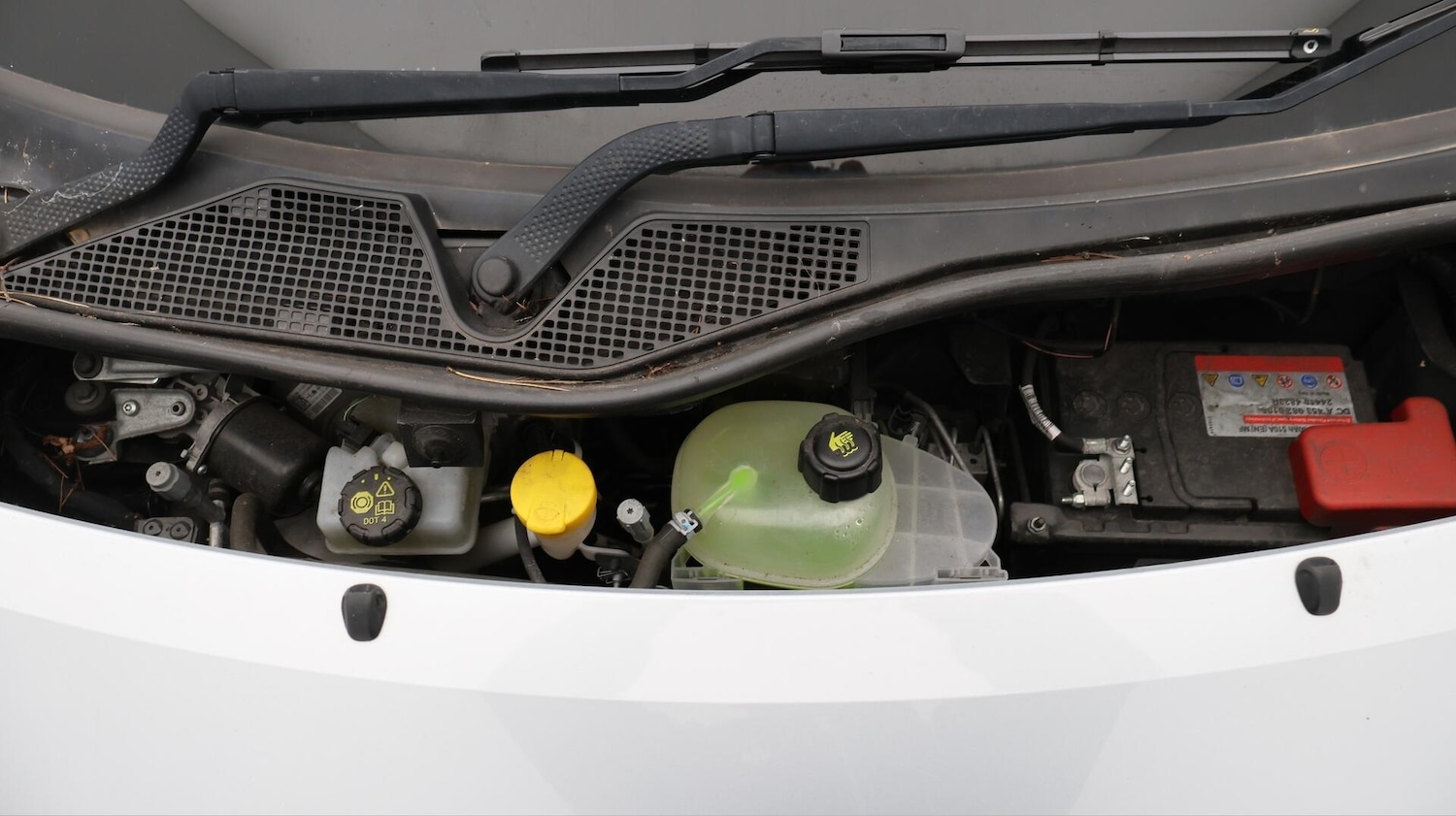 Used smart forfour for sale - 76658495: Photo 20