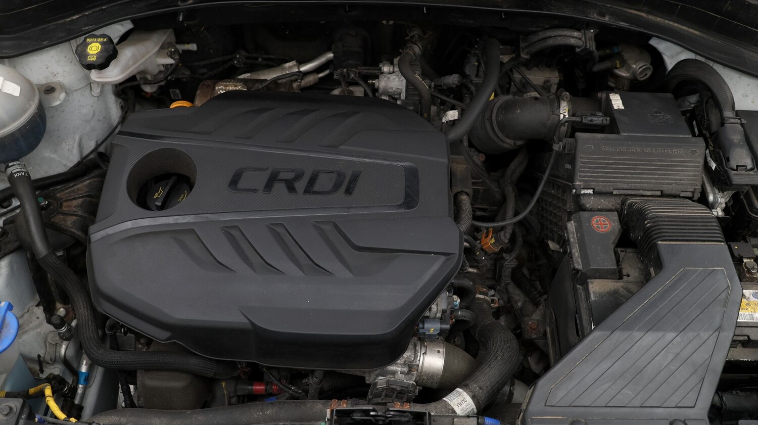 Used Kia Sportage for sale - 77283554: Photo 19