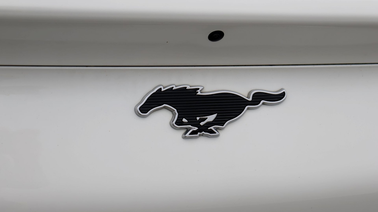 Used Ford Mustang Mach-E 2022 for sale - 77679265: Photo 23