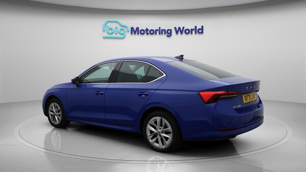 Used Skoda Octavia 2021 for sale - 76215398: Photo 6