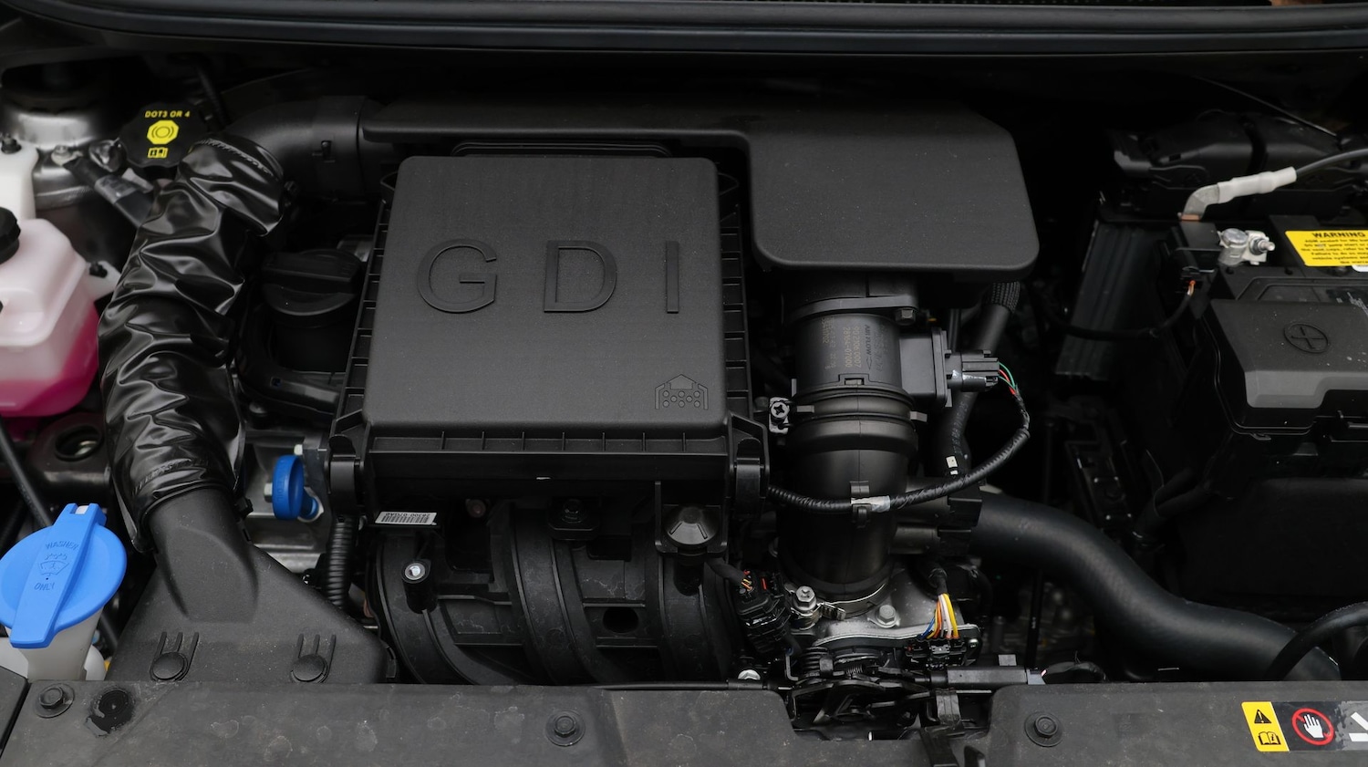 Used Kia Picanto 2025 for sale - 77689469: Photo 19