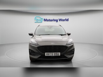 Used Ford Kuga 2022 for sale - 75906348: Photo