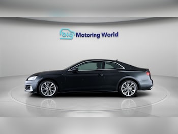 Used Audi A5 2023 for sale - 79087884: Photo