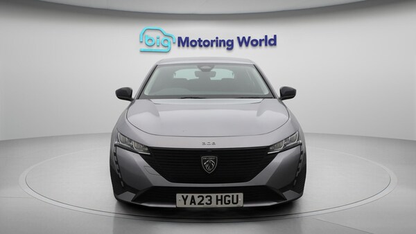Used Peugeot 308 2023 for sale - 75964444: Photo 3