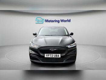 Used Ford Mustang Mach-E 2023 for sale - 78236765: Photo