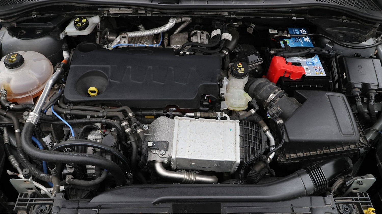 Used Ford Kuga 2022 for sale - 77460149: Photo 19