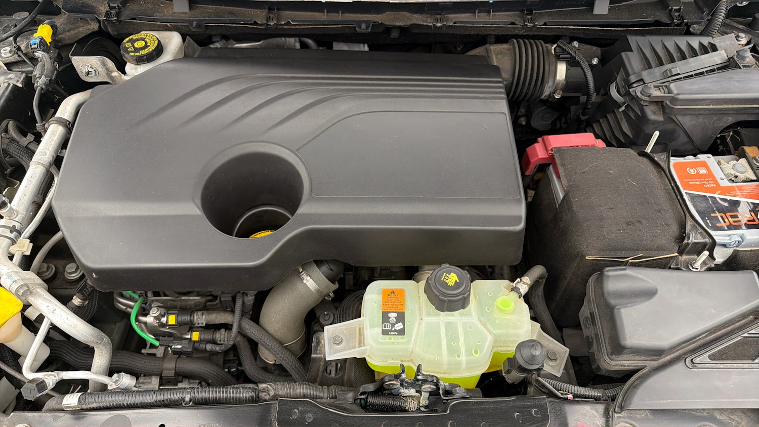 Used Renault Kadjar 2019 for sale - 77833346: Photo 18