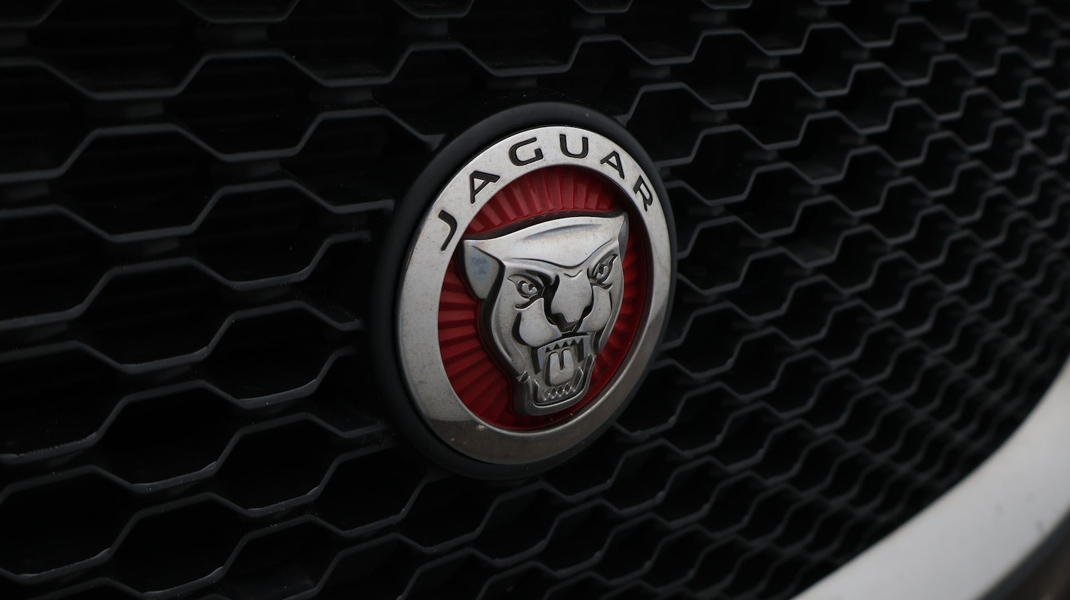 Used Jaguar XF 2018 for sale - 77548443: Photo 20