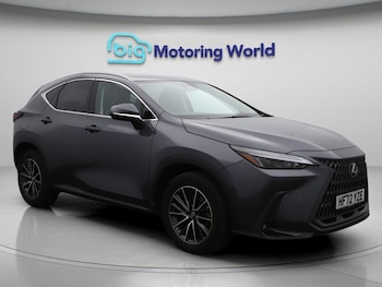 Lexus - NX