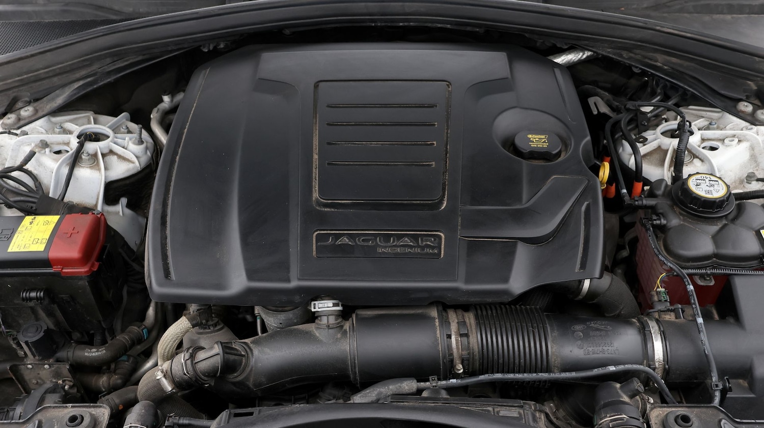 Used Jaguar F-Pace 2023 for sale - 77745271: Photo 19