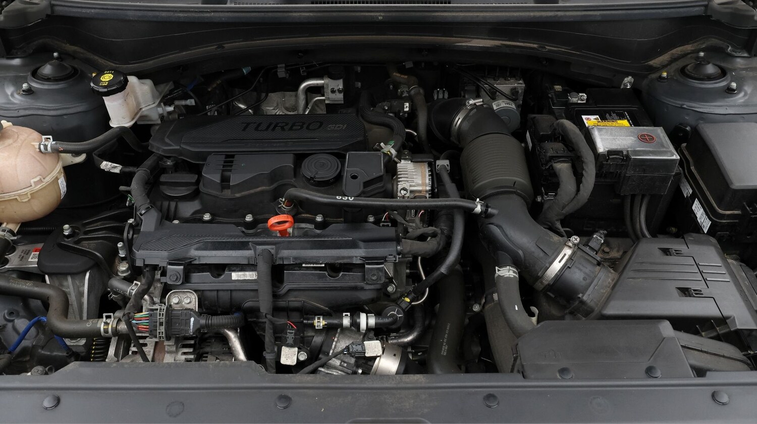 Used Kia Sportage 2023 for sale - 77460119: Photo 19