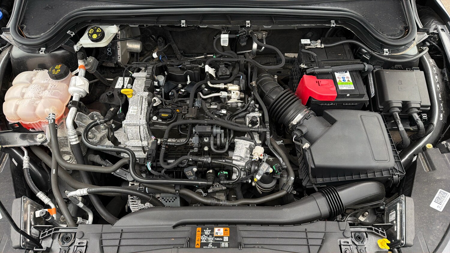 Used Ford Focus 2021 for sale - 78025872: Photo 18