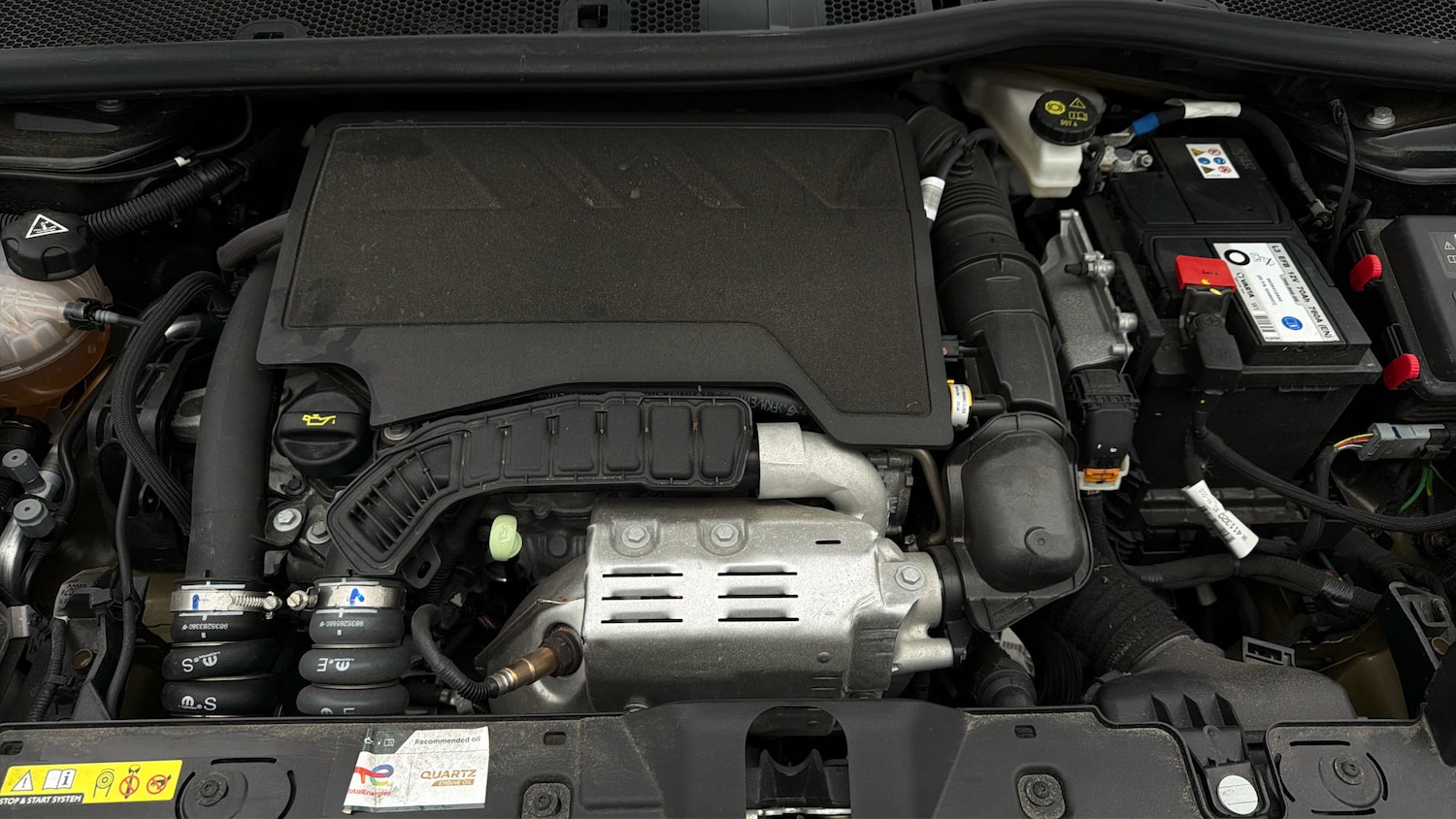 Used Peugeot 2008 2024 for sale - 77945611: Photo 18