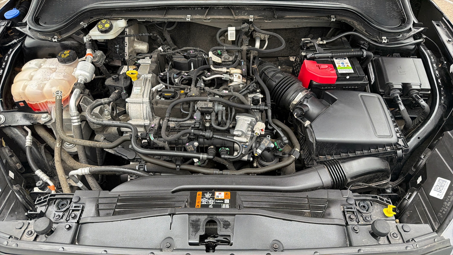 Used Ford Focus 2022 for sale - 78106602: Photo 18