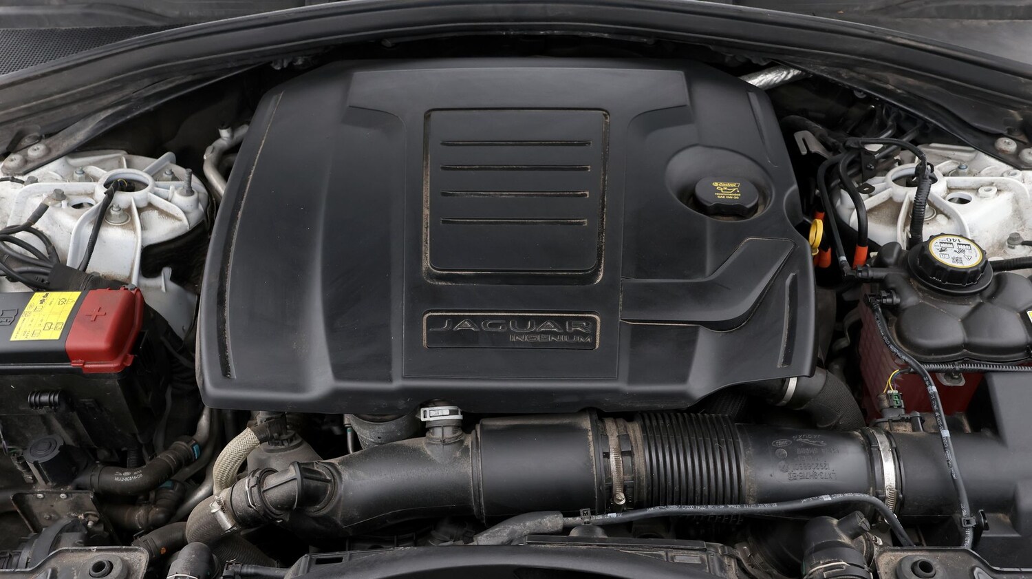 Used Jaguar F-Pace 2023 for sale - 77502485: Photo 19