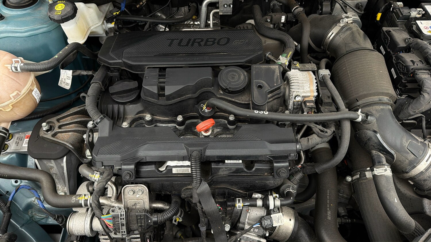 Used Kia Sportage 2023 for sale - 78079333: Photo 18