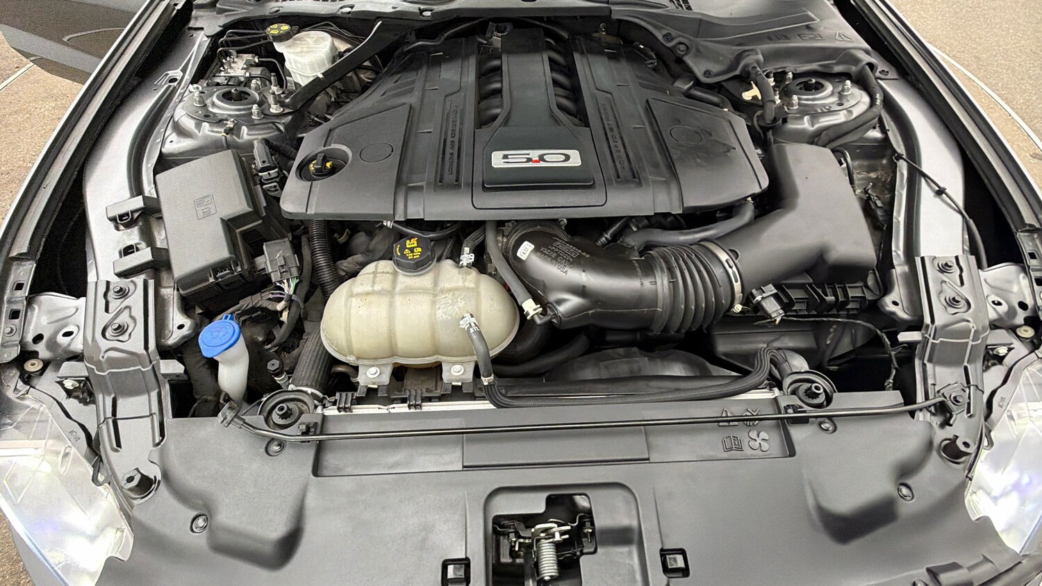 Used Ford Mustang for sale - 78122268: Photo 18