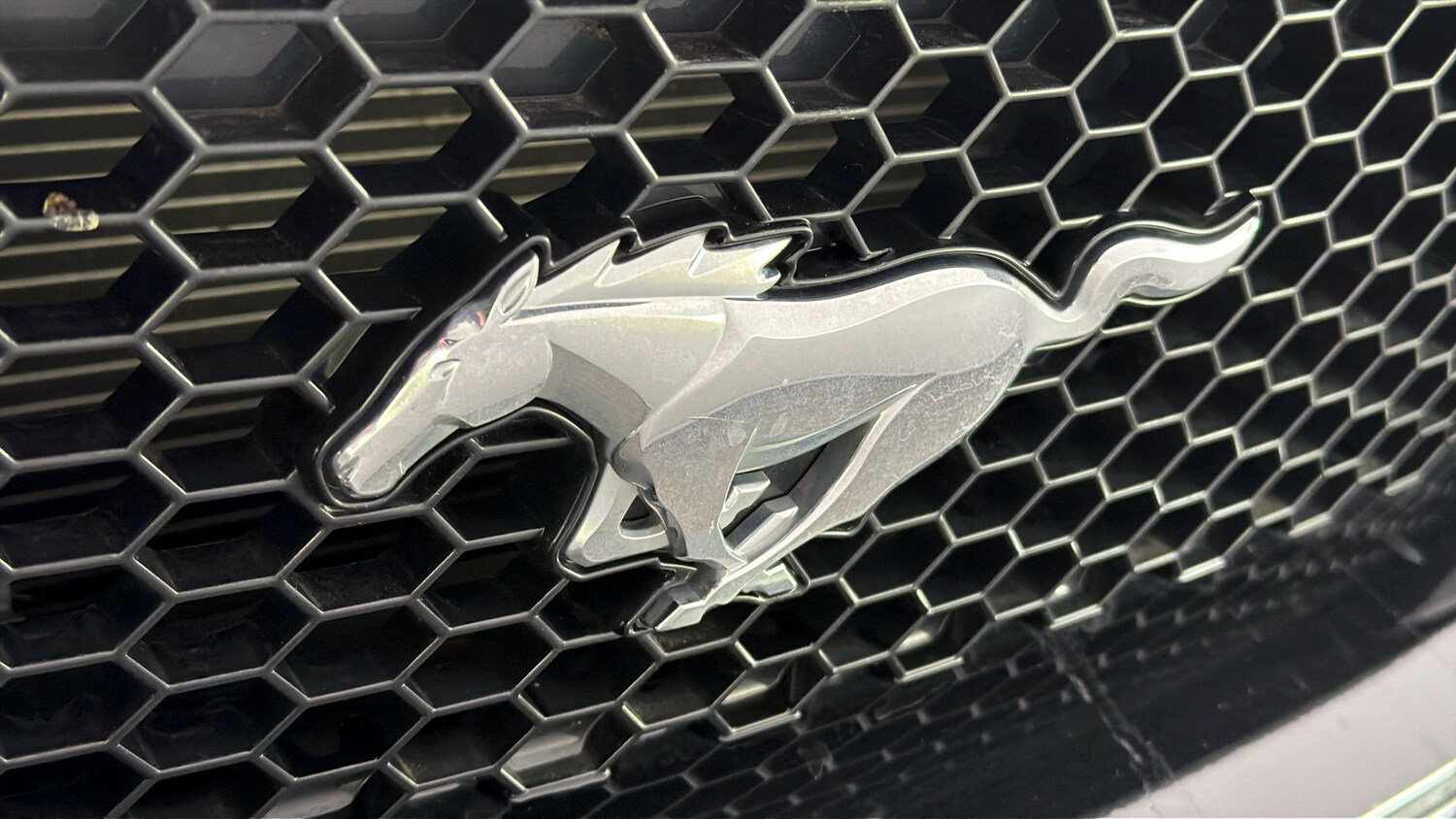 Used Ford Mustang for sale - 78122268: Photo 21