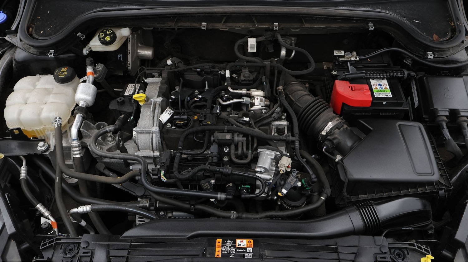 Used Ford Focus 2023 for sale - 77181656: Photo 19