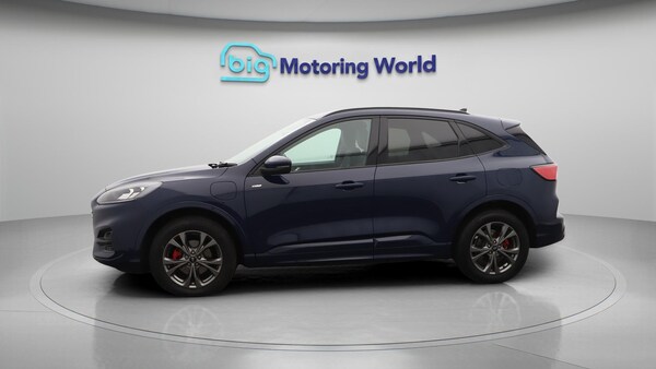 Used Ford Kuga 2023 for sale - 75103331: Photo 5