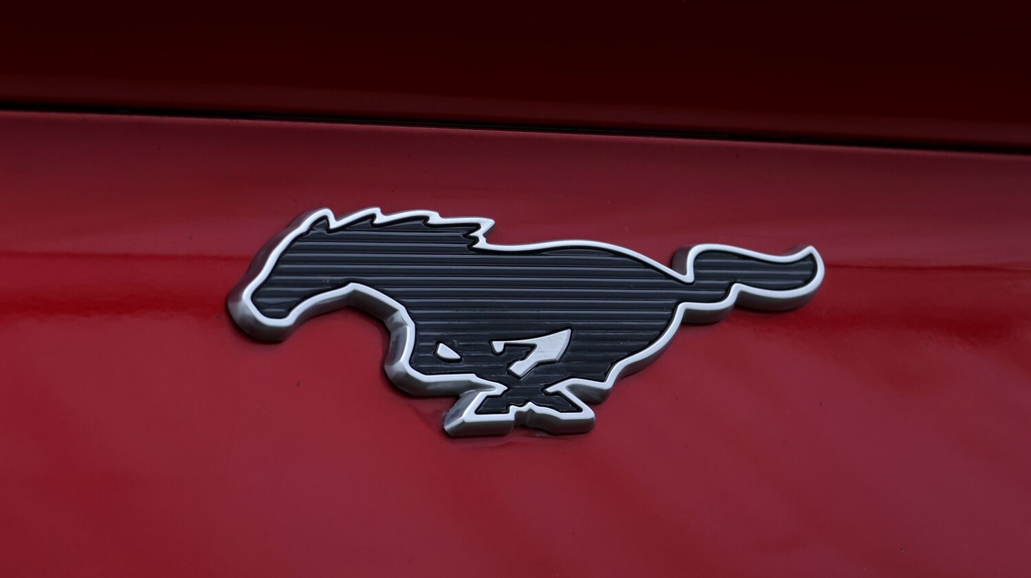 Used Ford Mustang Mach-E for sale - 77871831: Photo 25