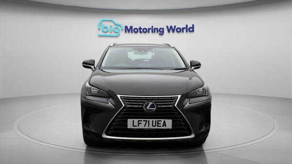 Used Lexus NX 2021 for sale - 76121969: Photo 3