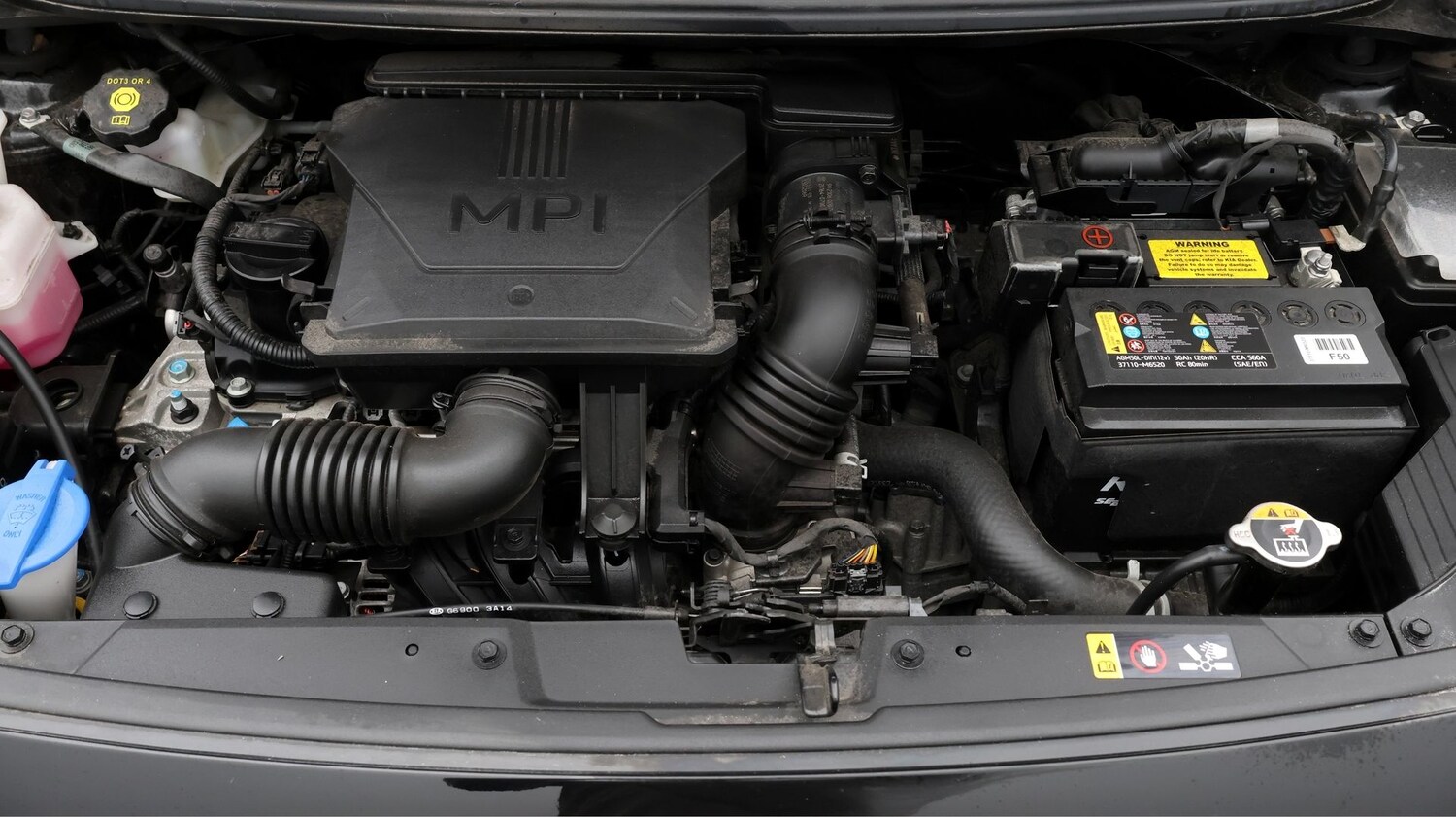 Used Kia Picanto for sale - 77750203: Photo 19