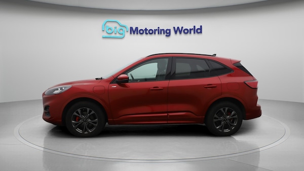 Used Ford Kuga 2021 for sale - 76282715: Photo 5