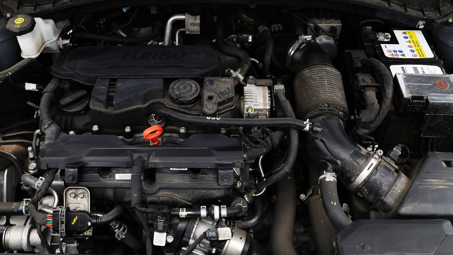 Used Hyundai TUCSON 2023 for sale - 77616944: Photo 19