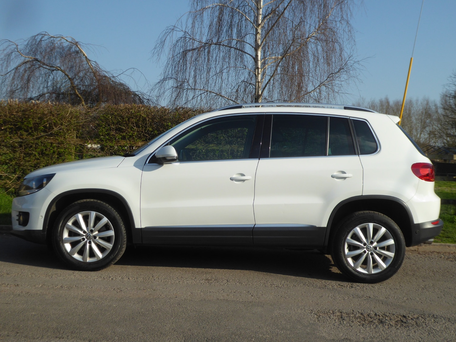 Used Volkswagen Tiguan 2015 for sale - 77732917: Photo 6