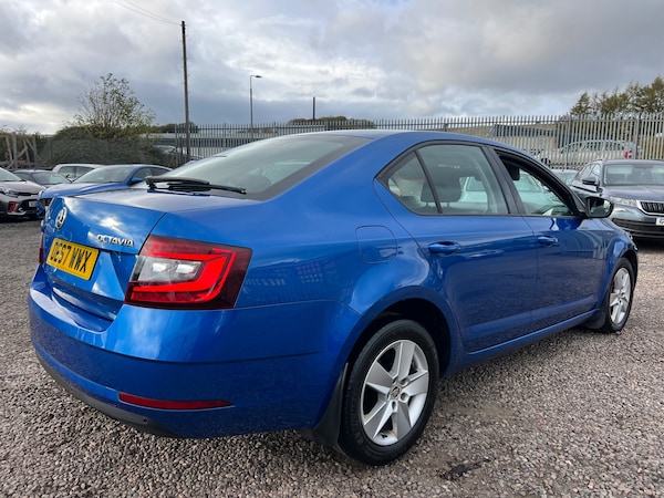 Used Skoda Octavia 2017 for sale - 76212178: Photo 2