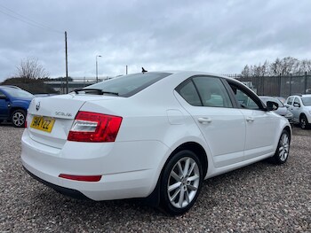 Used Skoda Octavia 2014 for sale - 77704589: Photo