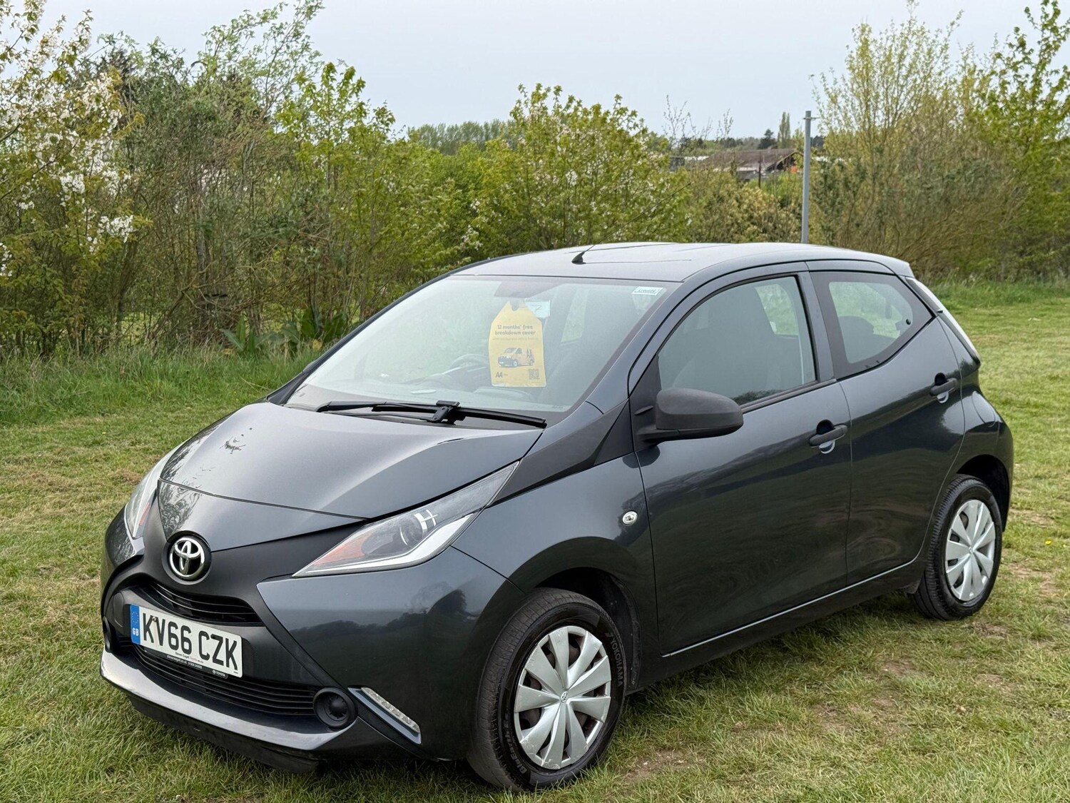 Used Toyota AYGO 2016 for sale - 78213313: Photo 5
