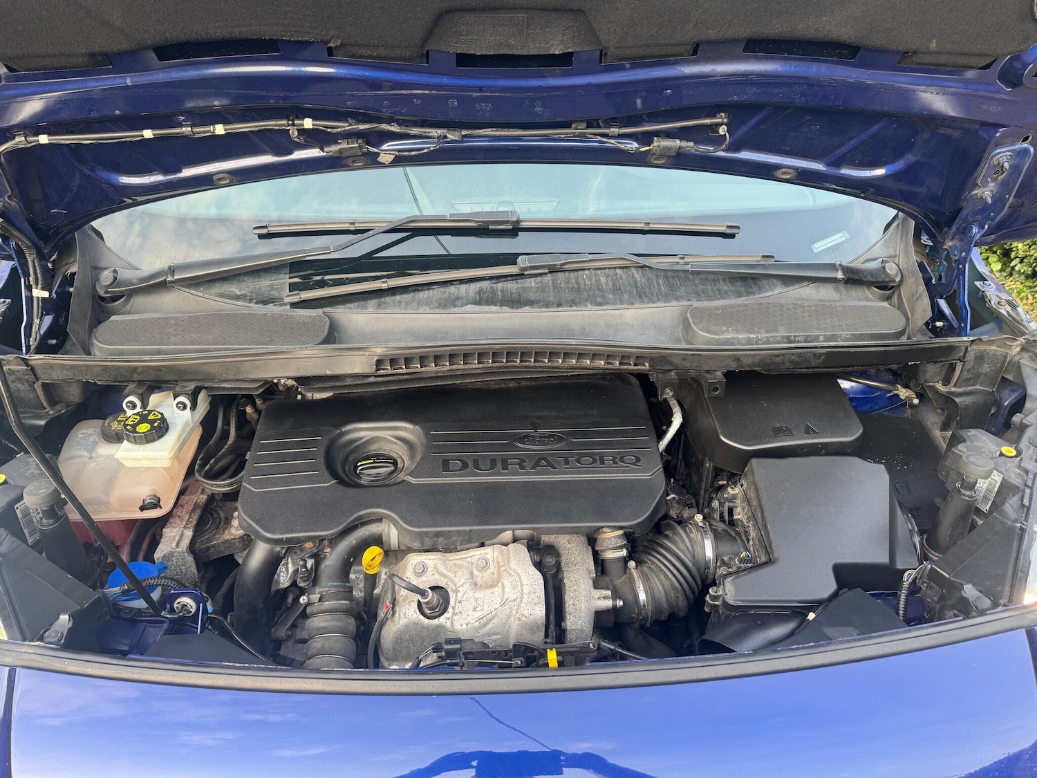 Used Ford Transit Connect 2016 for sale - 77966532: Photo 21