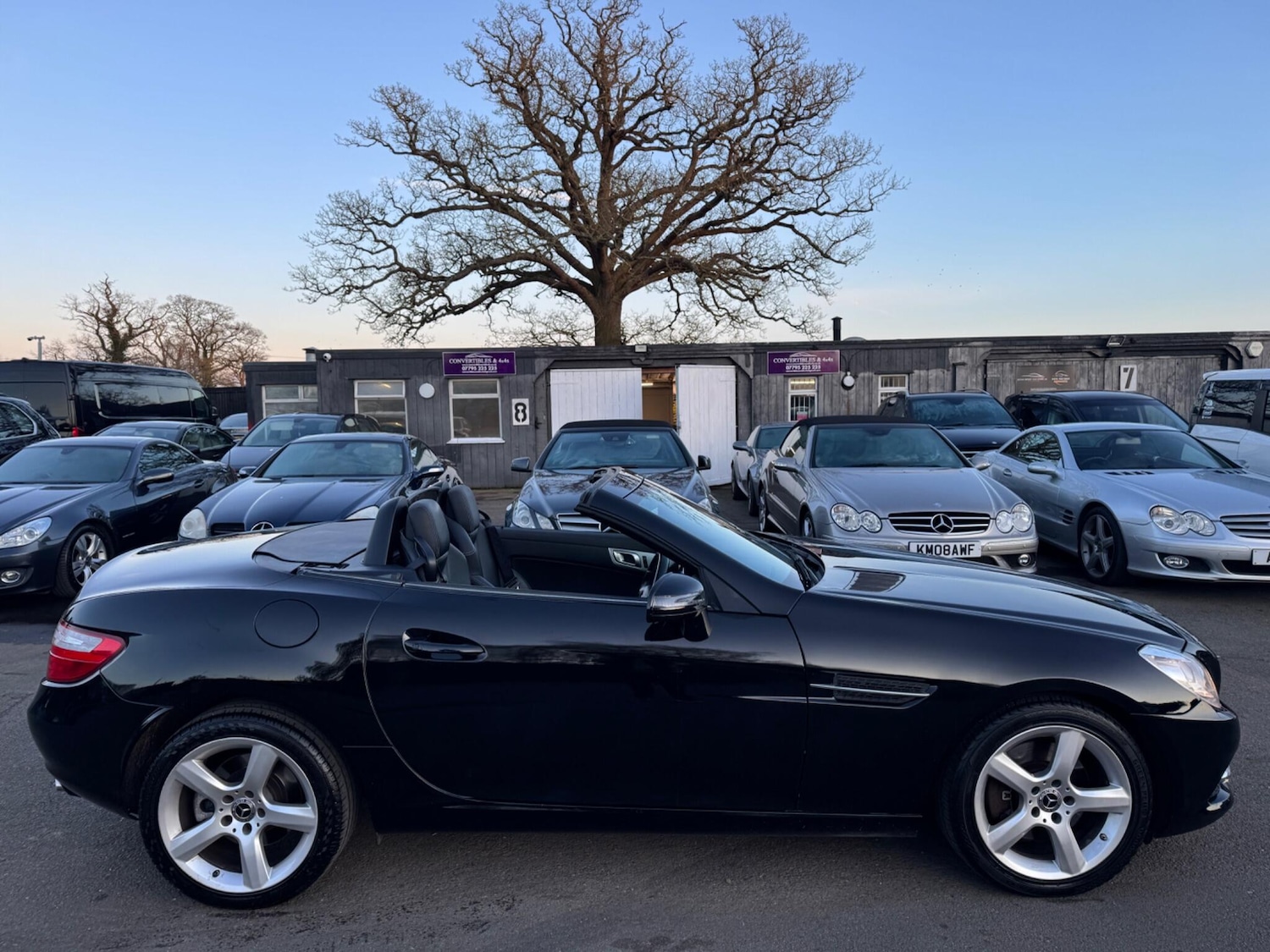 Used Mercedes-Benz SLK 2016 for sale - 77762593: Photo 4