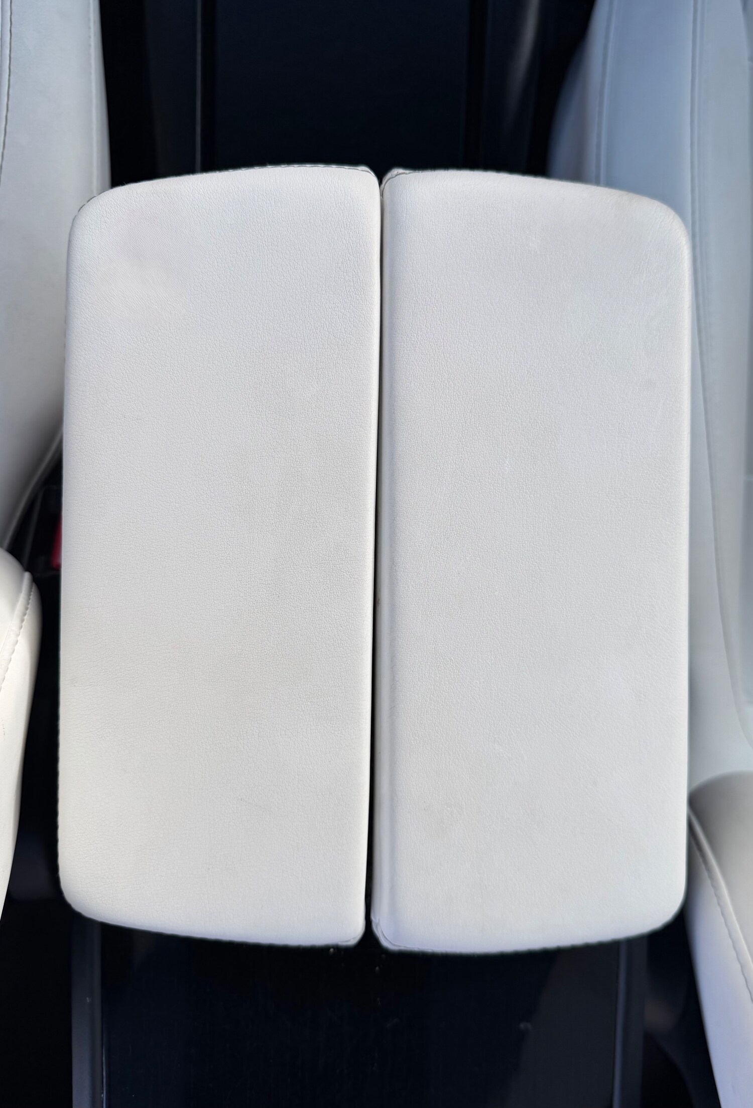 Used Tesla Model X for sale - 78132097: Photo 18