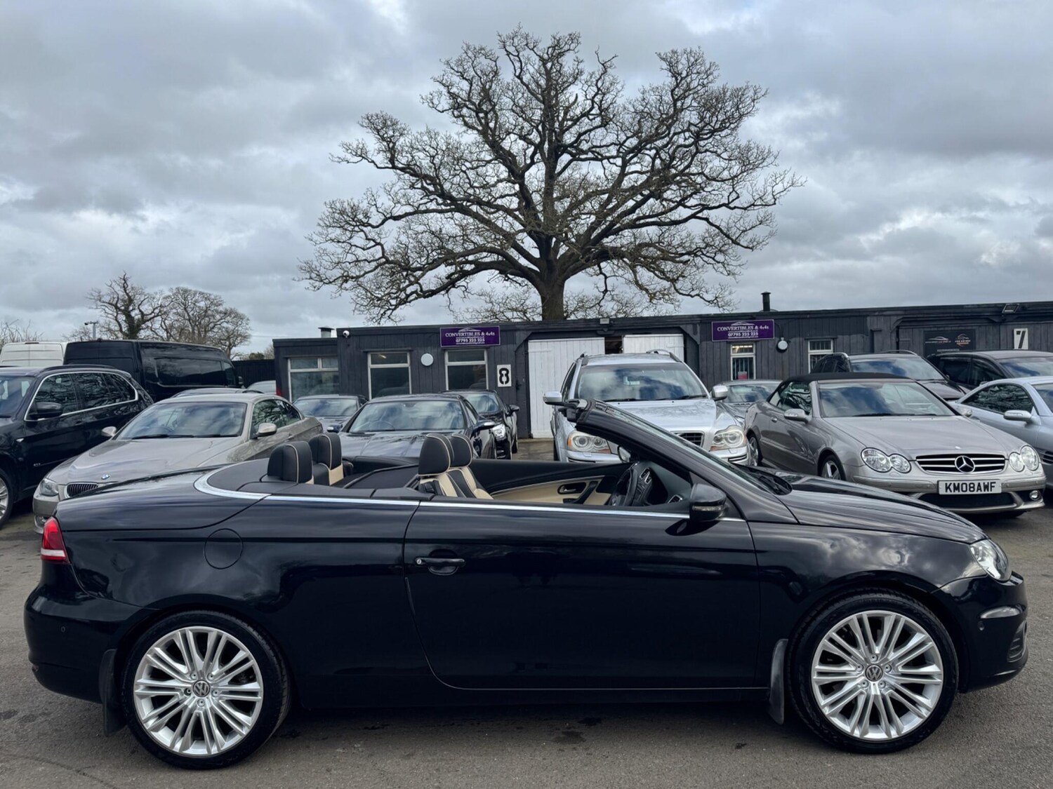 Used Volkswagen EOS 2013 for sale - 77762599: Photo 4