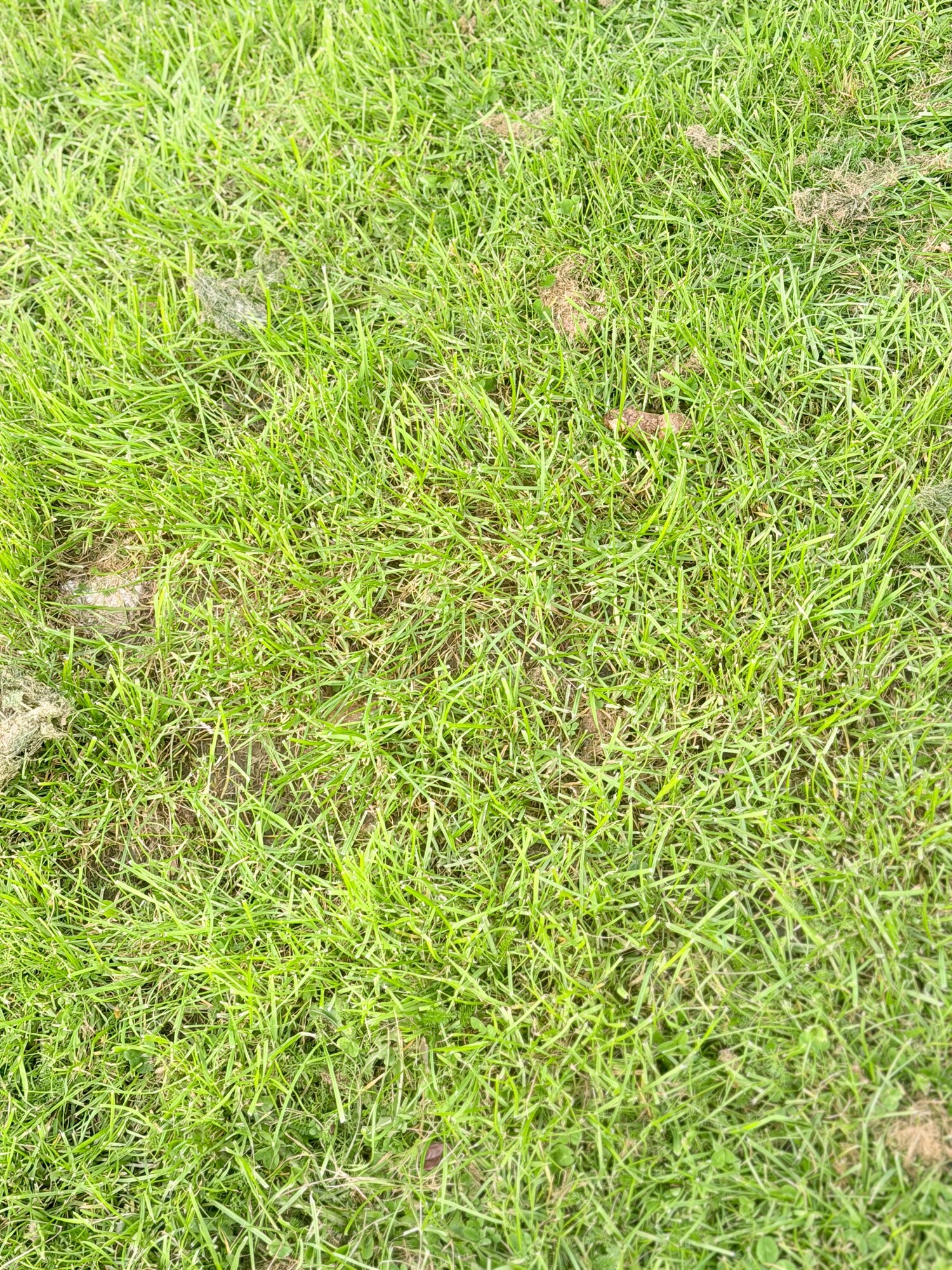 Used Jaguar XE 2017 for sale - 78098019: Photo 18