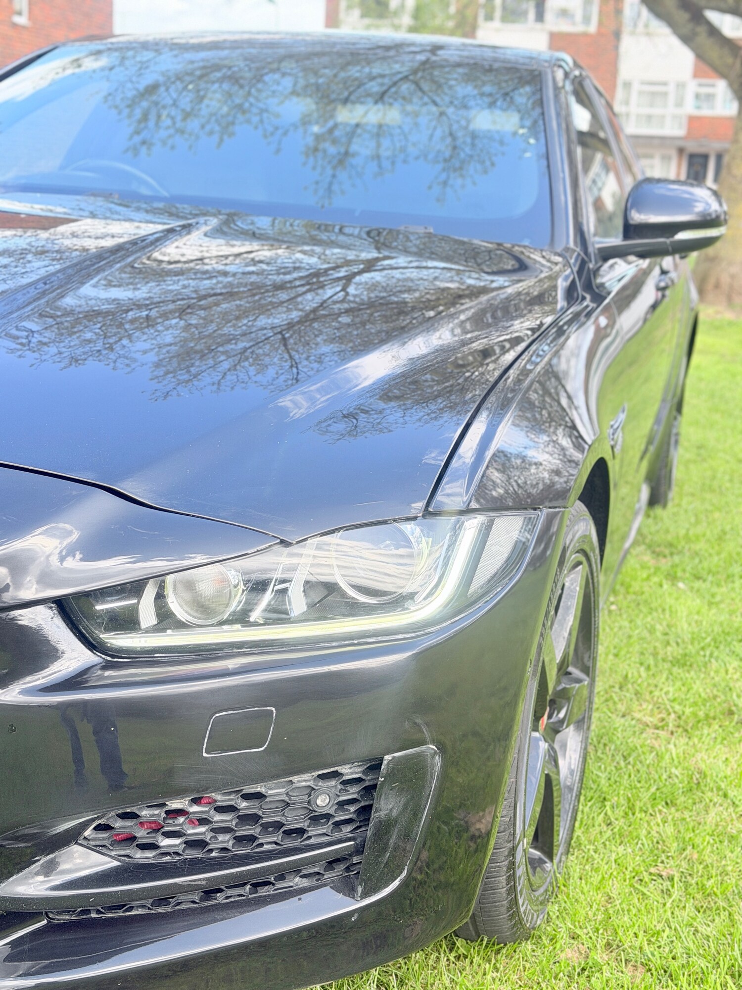 Used Jaguar XE 2017 for sale - 78098019: Photo 19