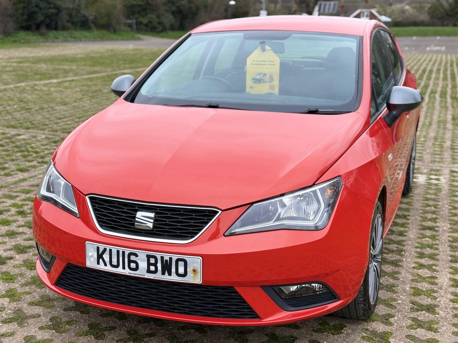 Used SEAT Ibiza 2016 for sale - 78029174: Photo 3