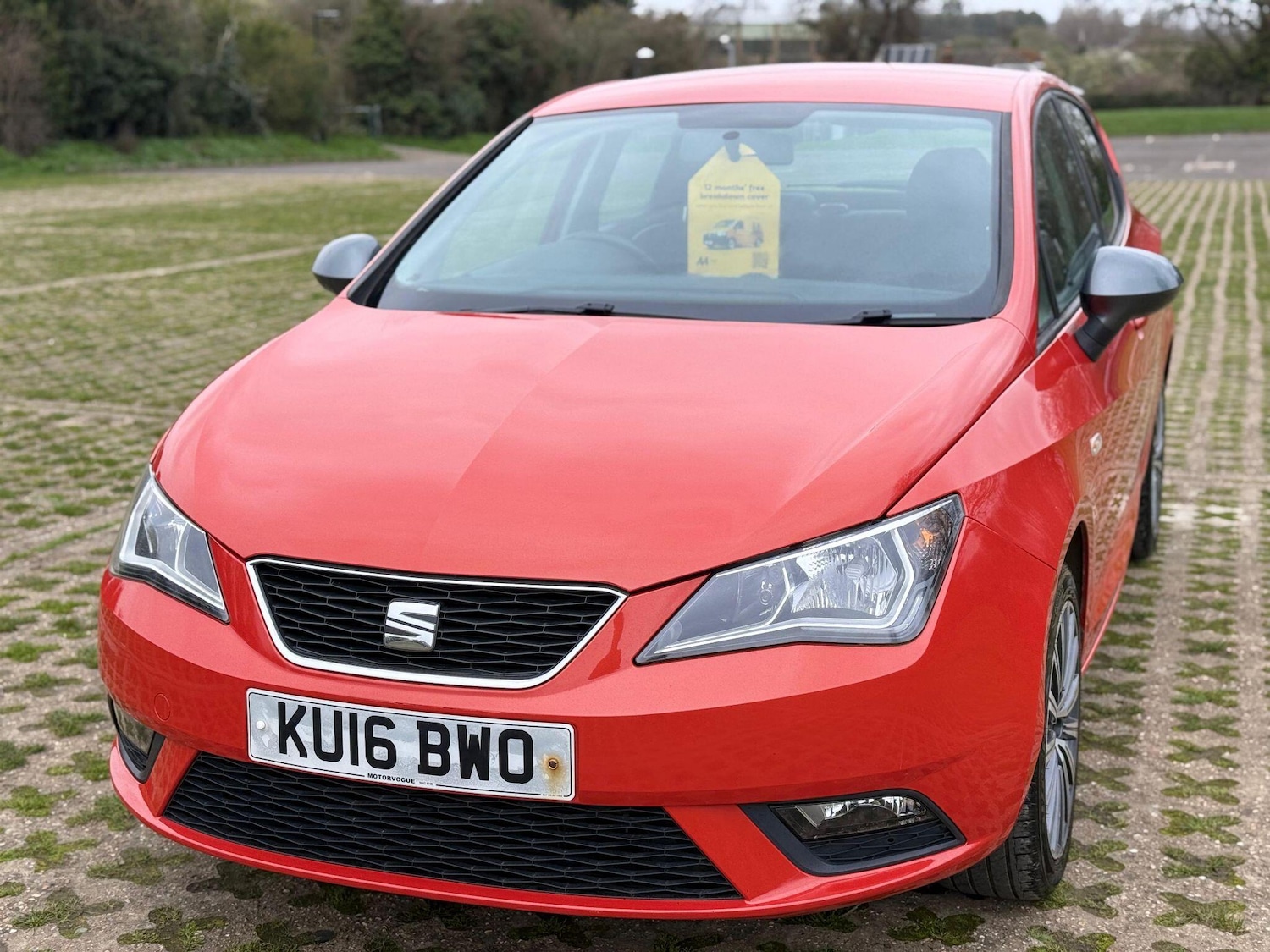 Used SEAT Ibiza 2016 for sale - 78029174: Photo 4