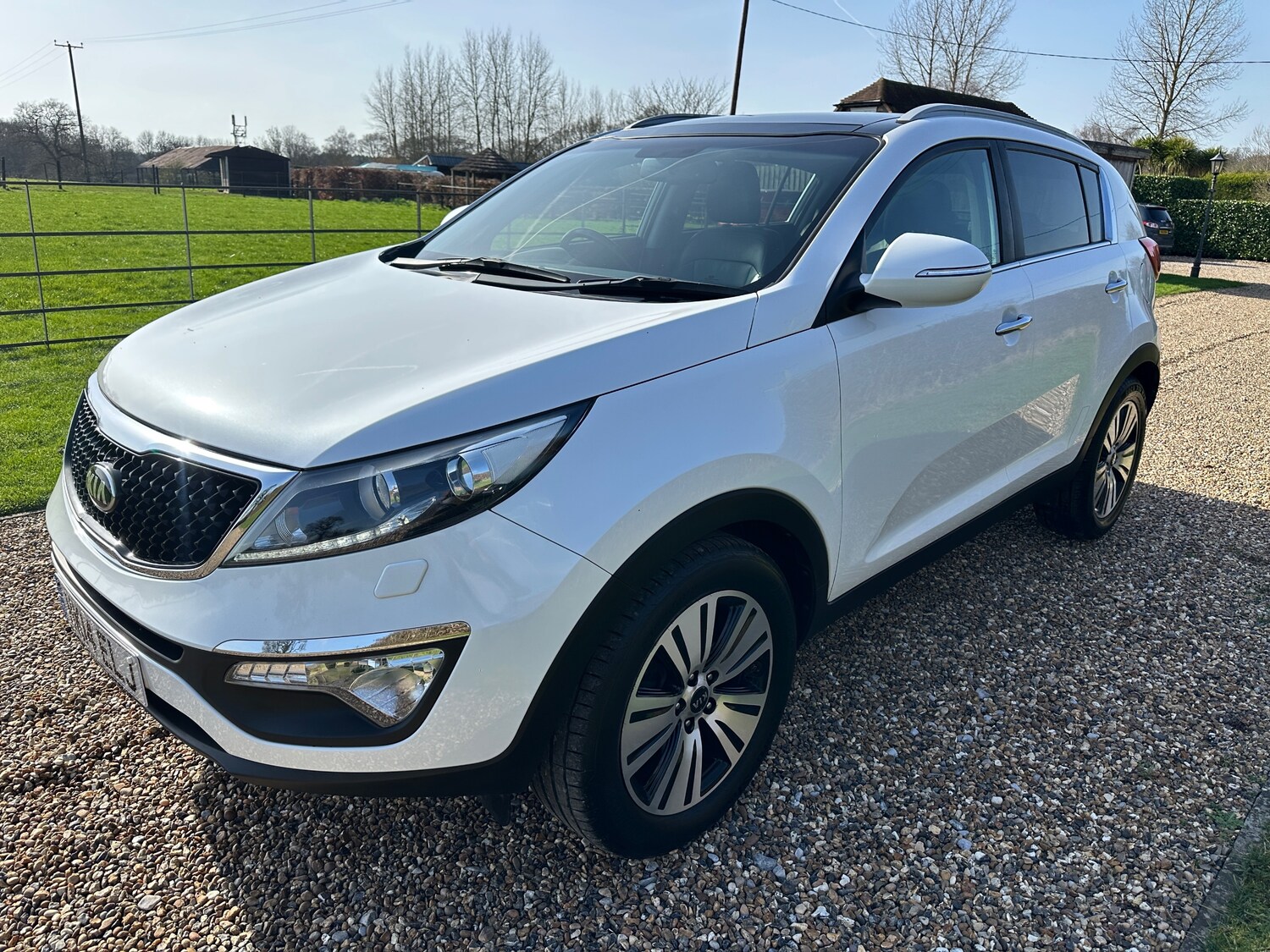 Used Kia Sportage 2014 for sale - 77733580: Photo 6
