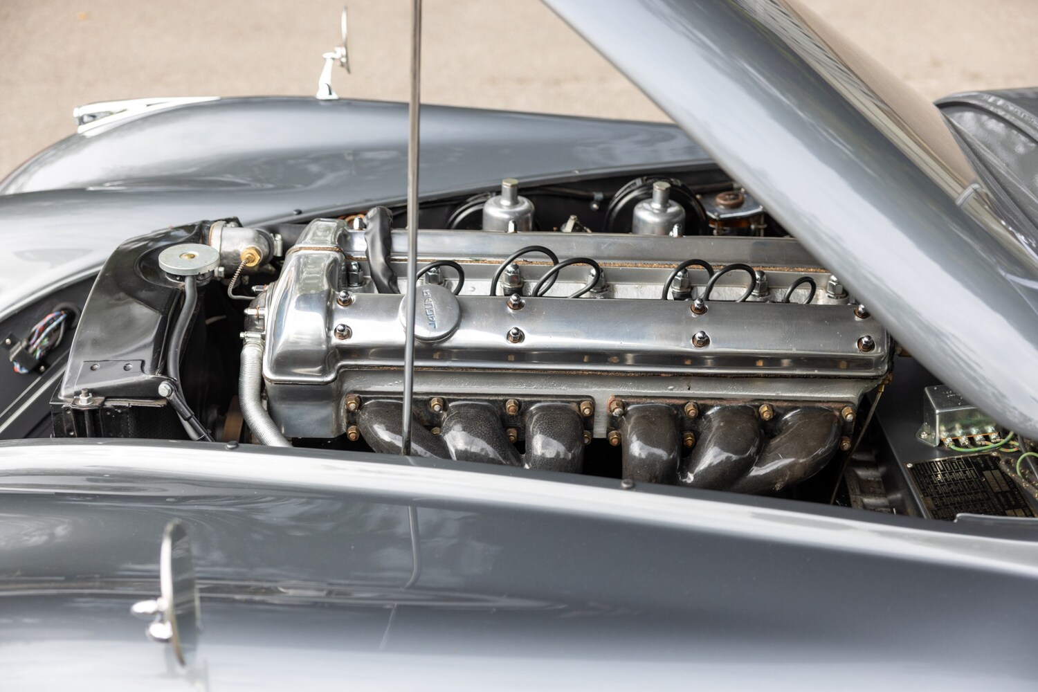 Used Jaguar XK 1951 for sale - 77927775: Photo 11