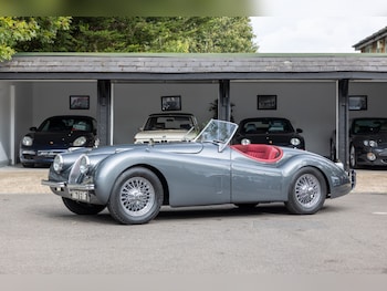 Used Jaguar XK 1951 for sale - 77927775: Photo
