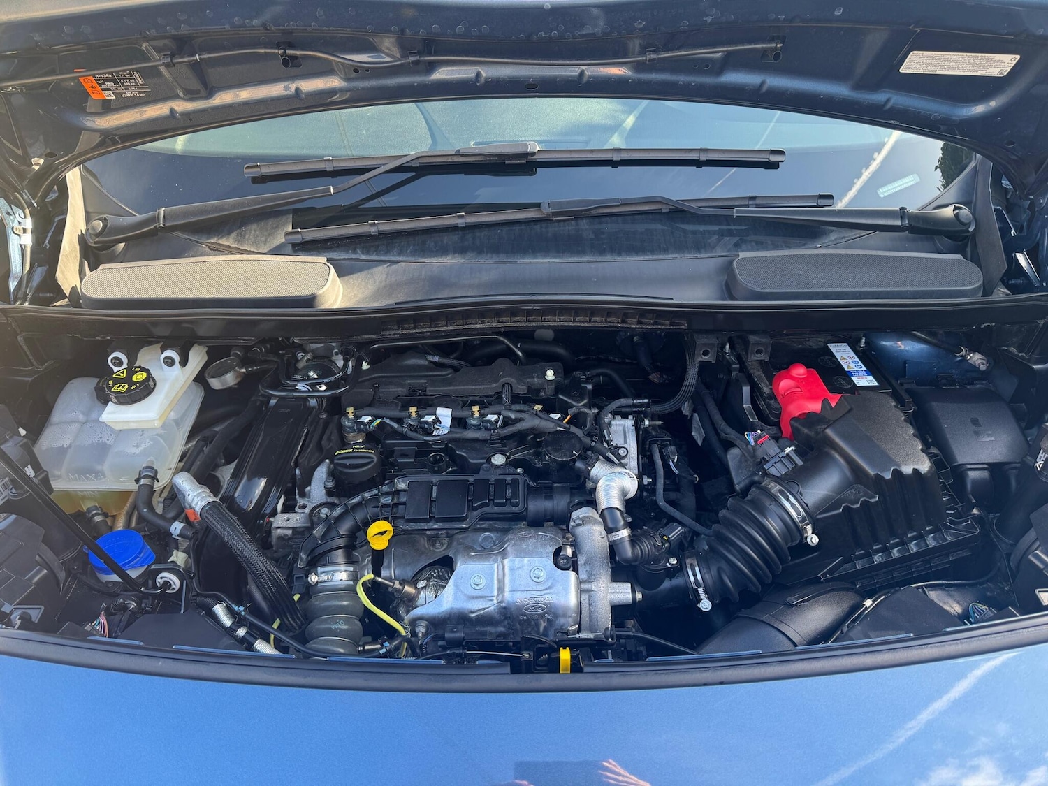 Used Ford Transit Connect 2024 for sale - 77966526: Photo 19