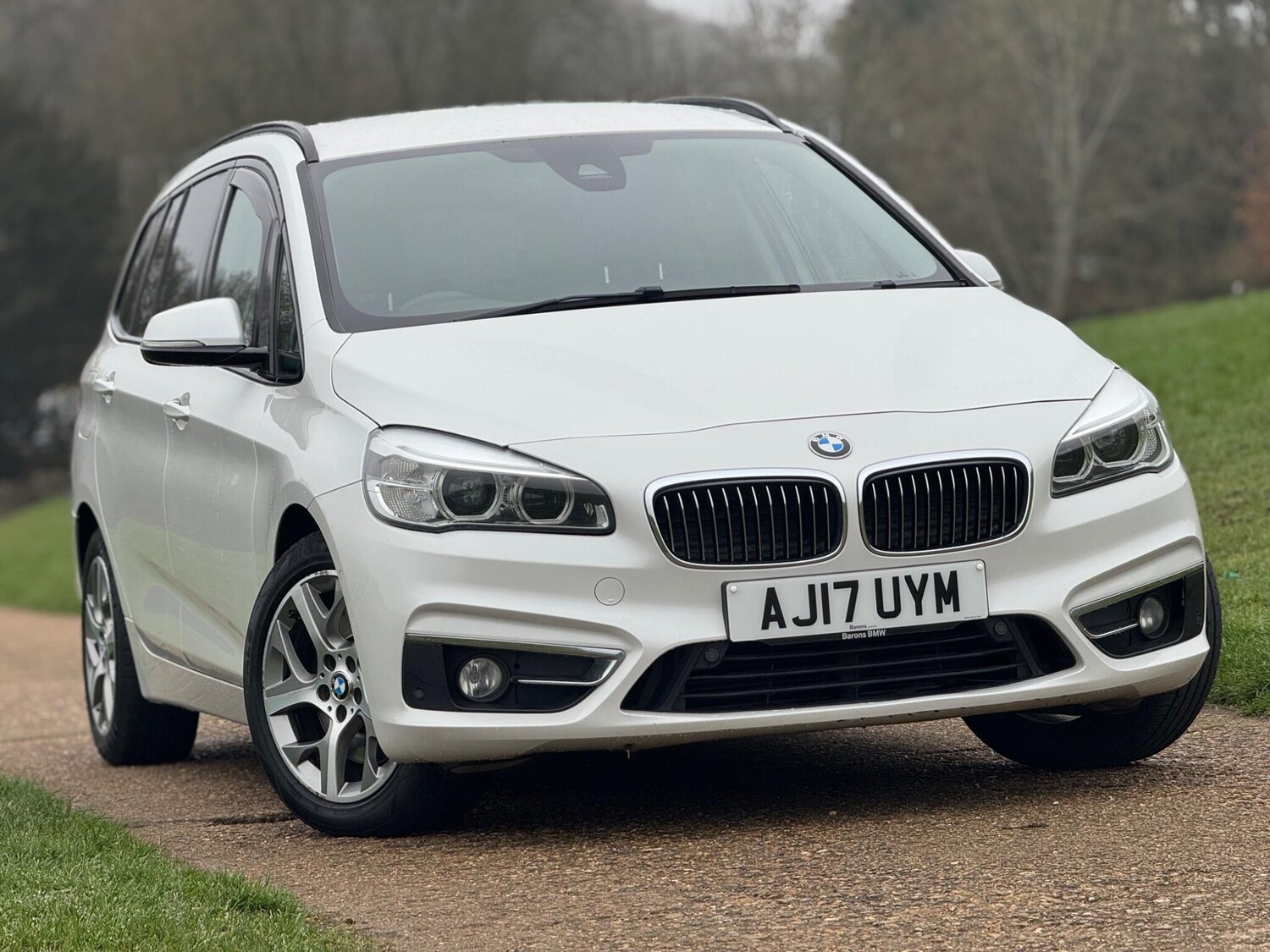 Used BMW 2 Series 2017 for sale - 77927944: Photo 5