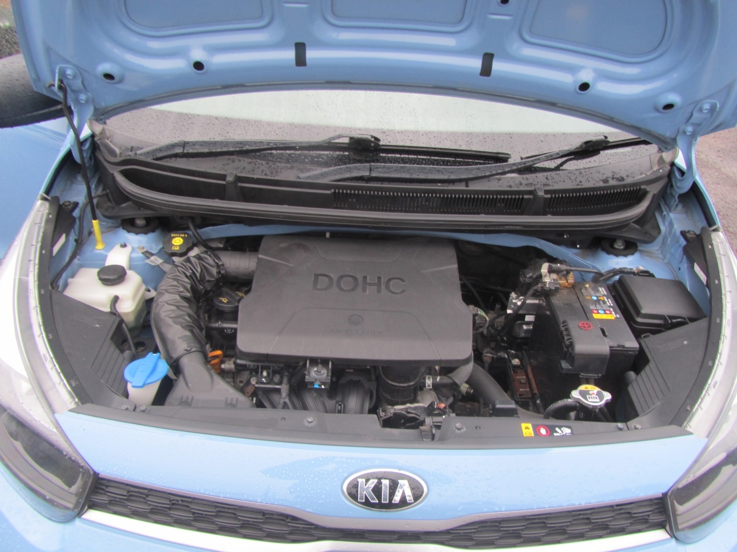 Used Kia Picanto 2019 for sale - 77303645: Photo 30